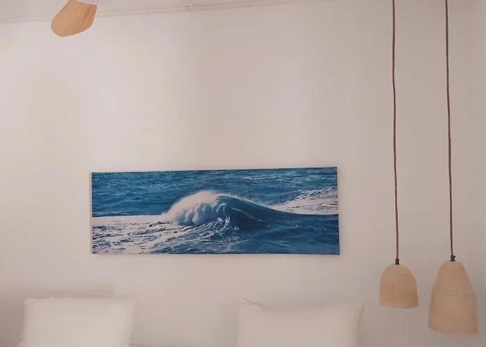 Experience- Playa